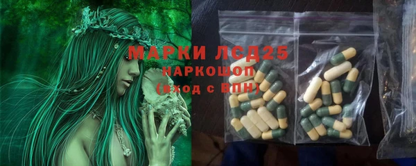ECSTASY Богданович